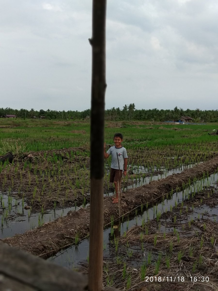 Suratman050388's tweet photo. Target swasembada pangan dimulai dari desa, dengan adanya Dana Desa mengentaskan Kemiskinan
#JokowiMembangunDesa 
#TppiKecRangsangPesisir
@jokowi @EkoSandjojo @taufikmadjid71 @anwsanusi @fachrilabalado @waksuai123 https://t.co/8Ut5Wkvp8c