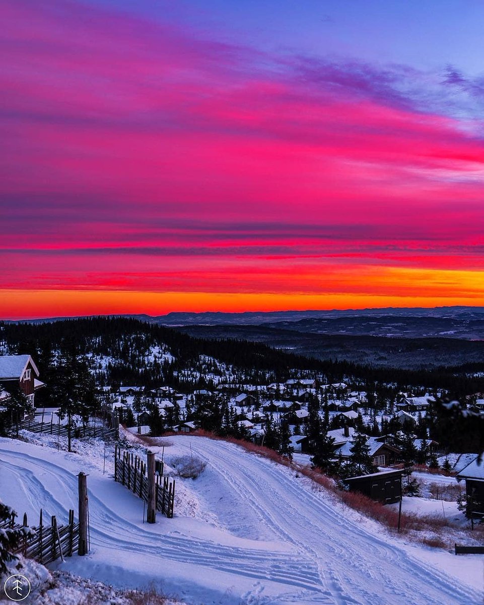 picsplaces's tweet photo. Incredible sunset in Sjusjøen 🌅
https://t.co/3AinmaJX9K
@picsplaces
Photo by @itseriksen
#travel #travelguide #PlaceSummit #BeTheFight #ThanksgivingEve #Thanksgiving #sunset #ThursdayThoughts https://t.co/LtyjQ24B2O