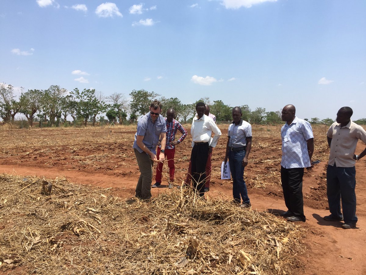 AndyDougill's tweet photo. Last day of inspiring couple of weeks across climate conversations of Malawi & Tanzania for @gcrfafricap @SHEAR_Programme @future_climate #UMFULA #CI4tea projects @SEELeeds #AFRICAP https://t.co/YcEUfn9zmg