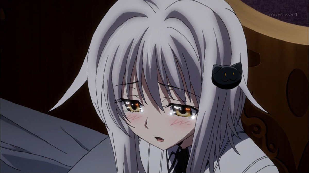 конеко тодзё. конеко дхд. конеко тодзё 18. Dxd конеко. конеко дхд.