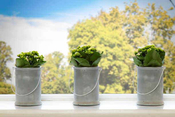 Valsts svētku laikā ZAAO sveica savus klientus, sakoptāko sētu konkursu laureātus.
Vairāk- zaao.lv/lv/zinas/valst…