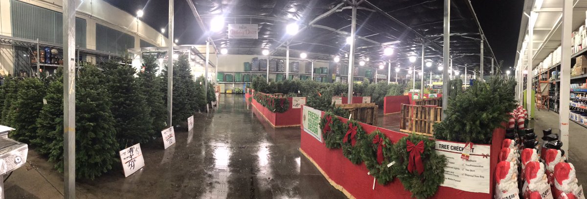 5Mzrocky's tweet photo. YAY YAAY!!! Bay Areeaa!!!!! We are ready to sell some trees!!! Not bad if I say so myself!! Team work and hard work pay off!!! #0644 @TonyFonseca0644 @aaaddaaam @LorenzoG925 @Liz91741801 @lilianavrr @BrandonR0644 @PacNorthProud https://t.co/JO1vU2ciuE
