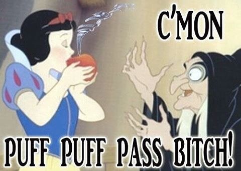 stinksack's tweet photo. @stinksack #smellproof #odorless #stinksack #stealth #cannabis #marijuana #dabs #extracts #edibles #headies #kush #cancer #indica #newyorkcity #smokeweedeveryday #cbd #thc #jayz #snoopdog #wutangclan #cypresshill #cannabis #bassnectar #festivals #burning… https://t.co/46fJN2Viwf https://t.co/wc4AFhkxD7