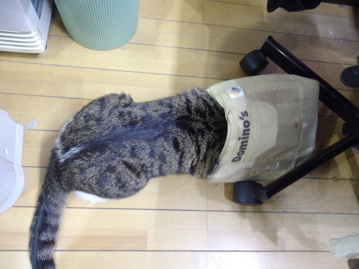 ブログの更新を発信したりします。 
YouTube Liveで我が家のねこたちの姿をご覧になることができるようになりました。goo.gl/M6bSSj
チャンネル登録いただくと最新の動画の情報が早く手に入ります。チャンネル登録用URL→goo.gl/tFYGLJ
よろしければチャンネル登録をどうぞ。