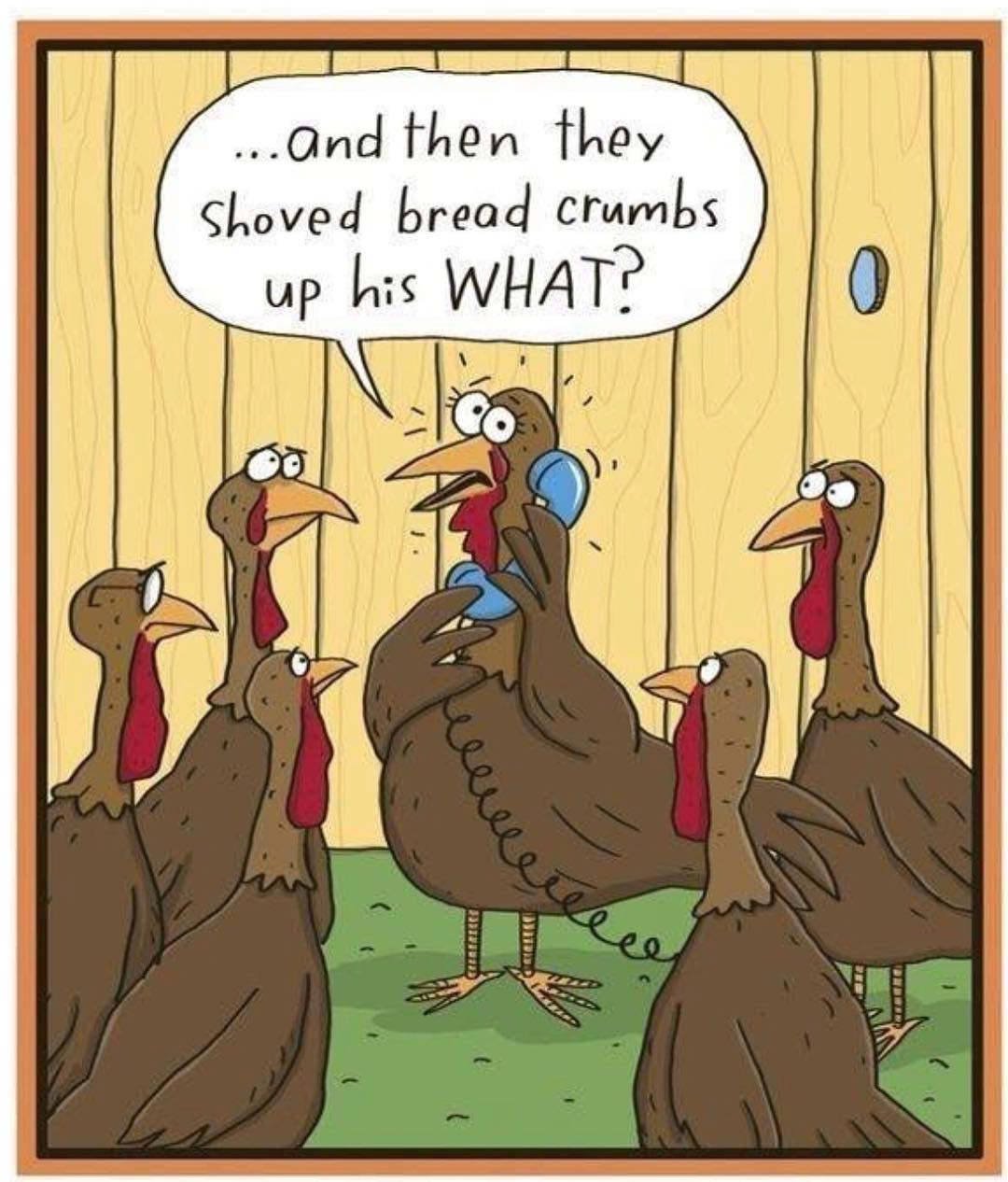 FlipIt App on Twitter "Happy almost Thanksgiving! memes funny humor