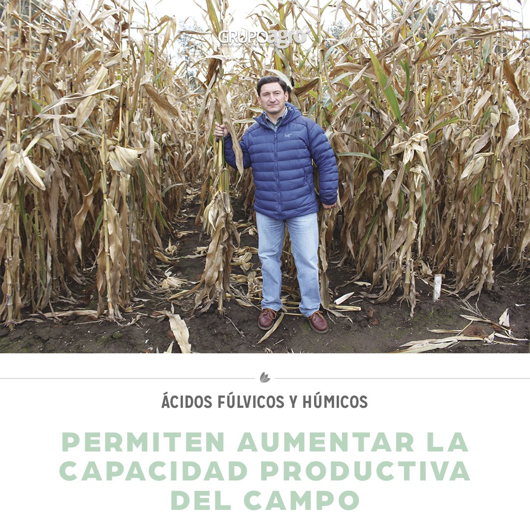 codigoc1's tweet image. ÁCIDOS FÚLVICOS Y HÚMICOS: PERMITEN AUMENTAR LA CAPACIDAD PRODUCTIVA DEL CAMPO

Revisa el reportaje completo en el siguiente link:
revistagrupoagro.cl/acidos-fulvico…

#RevistaGrupoAgro #ÁcidosFúlvicosyHúmicos
