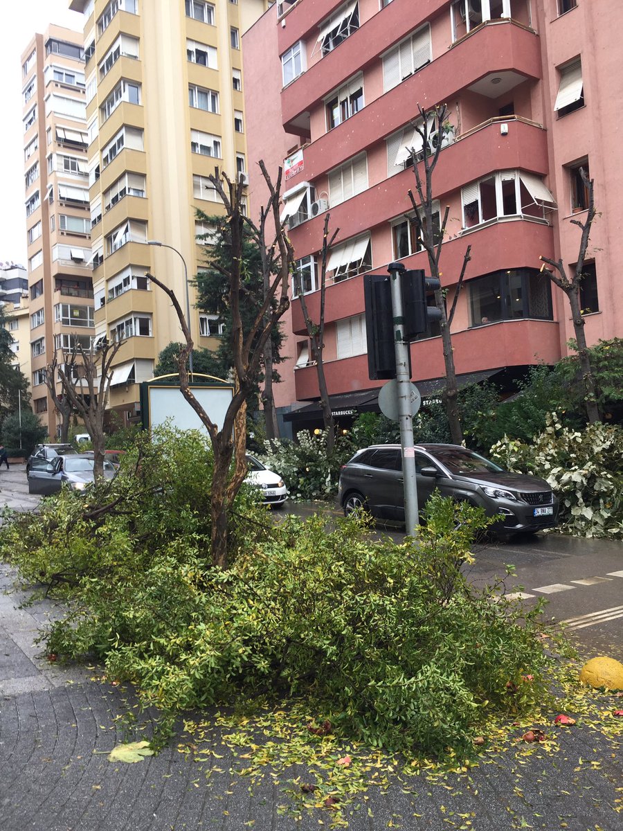 Siz bile elimizde kalan birkaç ağaca bunu yapıyorsanız biz kime güvenelim. Yazıklar olsun <a href="/kadikoybelediye/">Kadıköy Belediyesi</a> <a href="/aykurtnuh/">Aykurt Nuhoğlu</a>