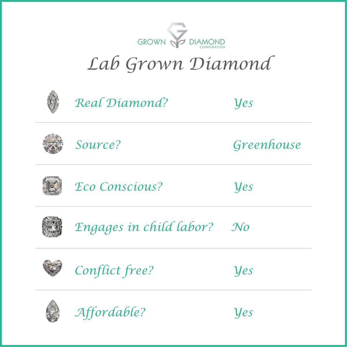 #FactsandMyths clarified! 
All our actions are earth conscious and ensure complete transparency of our lab grown diamonds. These diamonds are real, affordable, and ecofriendly, made for you in a safe environment. 
To know more, contact us: pos.li/2ardxi
#LabGrownDiamond