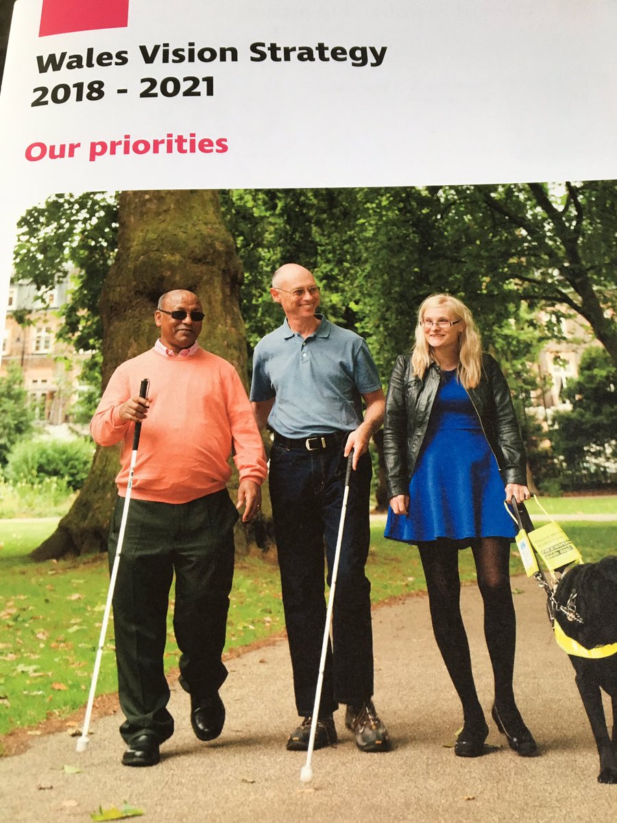 Fionacjenkins's tweet photo. IntheSenydd at the launch of the Wales Vision Strategy 2018-2021, removing barriers for those with sight loss and improving eye health, ending avoidable sight loss #WalesVision https://t.co/hh5AhHYbno