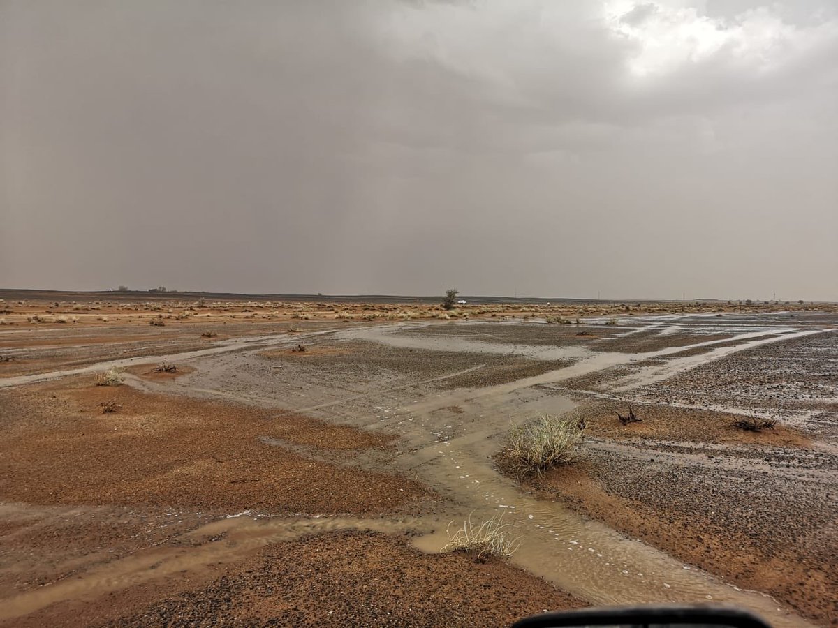 Weather_Qassim1's tweet photo. شمال غرب الذيبيه تناقيع من عضو

#شبكة_طقس_القصيم 

عبدالحكيم الغرابي https://t.co/npPoZhLyzb