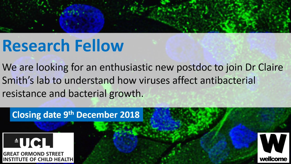 RESEARCH FELLOW VACANCY - We are looking for a #postdoc Research Fellow to join <a href="/Dr_ClaireSmith/">Dr Claire Smith</a>'s lab <a href="/UCLchildhealth/">UCL Great Ormond Street Institute of Child Health</a> for 18m <a href="/wellcometrust/">Wellcome</a> funded project studying impact of #respiratory virus and bacterial interactions on #AMR. Apply before 9/12/18 tinyurl.com/yatzrtqg