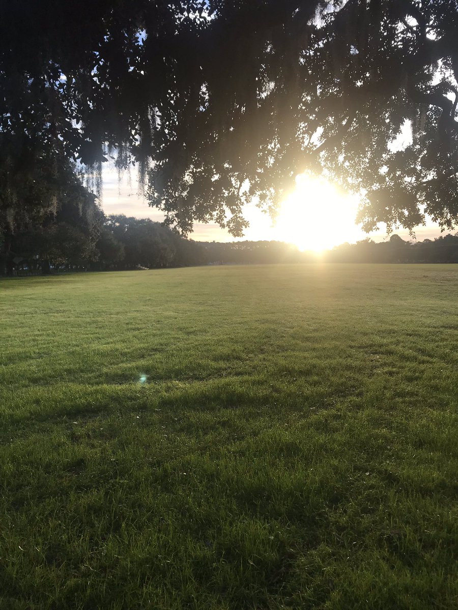 SCADSAVMXC's tweet image. Happy Thanksgiving to you and yours. Today our practice site, Daffin Park, is the host for the 10th Annual United Way Turkey Trot.  @SCADSAVWXC #scadathletics #scadsavannah #NAIAXC #thesunconferencexc