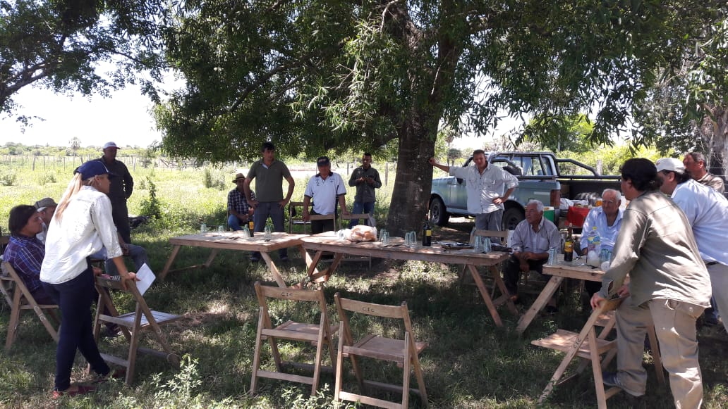 Patricio_Quinos's tweet photo. EXCELENTE REUNIÓN de @CambioRural_II en Margarita Belén
Dos objetivos:
Trabajar sobre la eficiencia de cosecha de #pasto y sobre la productividad de #Megatermicas en el Este Chaqueño
Arrancamos un semillero de Tangola y Pasto Clavel para multiplicar
#Ganaderia
@repettomj https://t.co/vwcJ2B63XE