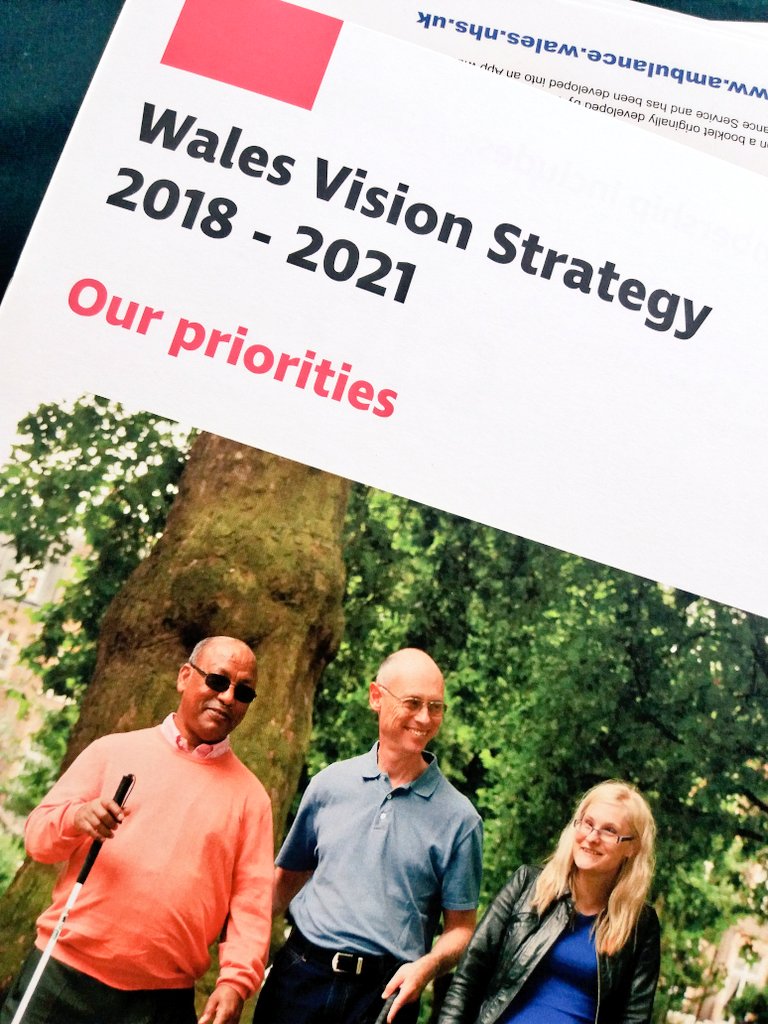 WelshAmbPECI's tweet photo. Spending this afternoon with colleagues and partners @AssemblyWales in Cardiff at launch of Wales Vision Strategy 2018-21 #WalesVision #sensorylossawarenessmonth #itmakessense https://t.co/cOYBDIQQBY