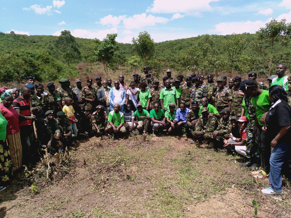 FCRC_Alupe's tweet photo. SLM today participated in Kakamega Forest Marathon Tree Planting Event hosted at Shinyalu in Kakamega by Kakamega Forest Heritage Foundation, where we donated a total of 5,000 tree seedlings towards Kakamega Forest restoration initiative @theGEF @unep @AGRAAlliance https://t.co/TjG2MYuXzy