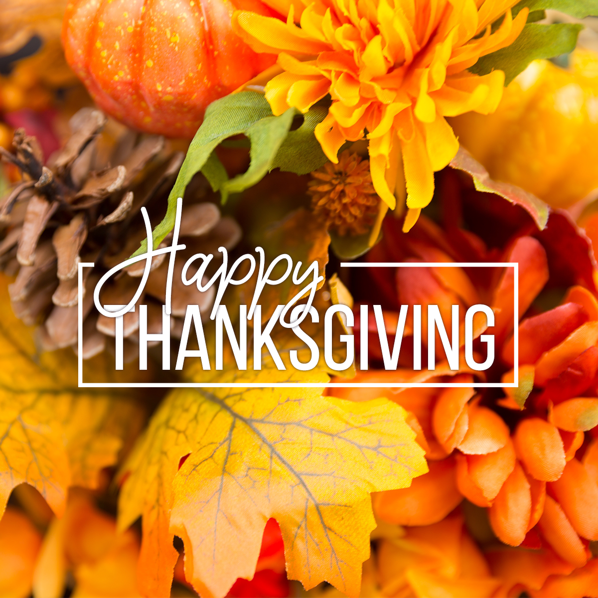 VtgLifeRedhead's tweet photo. We Are Thankful @RocketCentury For All Of Our Great Customers! Join Us This Weekend For Gr... https://t.co/XLXa6IkOgI https://t.co/oL4pgk9vAv
