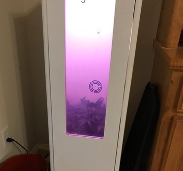 GroboGrow's tweet photo. Grobo's fluid glass allows growers to see inside their unit without opening the door π±
.
#growbox #indoorgrowingsystems #grobo #grobogrow #growyourown #shareyourgrow #allgrowers #cannabis #cannabiscommunity #cannabisculture #themoreyourknow #cannabismovement https://t.co/WryXmo9b8V