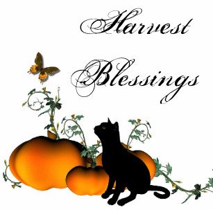 Today is a day when humans stay home and eat so much good food. We have been getting special treats like turkey this week.  We like that a lot. ~PK2🐈🐈
#Harvest #HarvestBlessings
