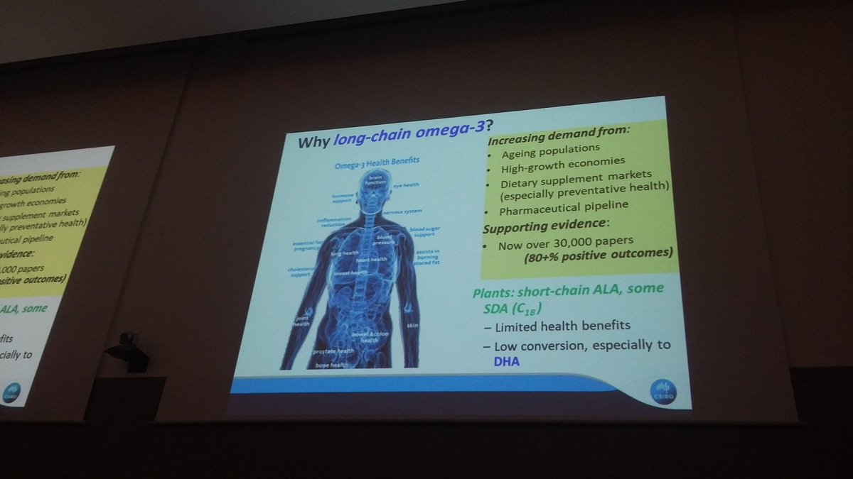 LydieCouturier's tweet photo. Peter Nichols showing the importance of omega3 fatty acids in human health #Marinelipids2018 https://t.co/zDqFLTlaLQ