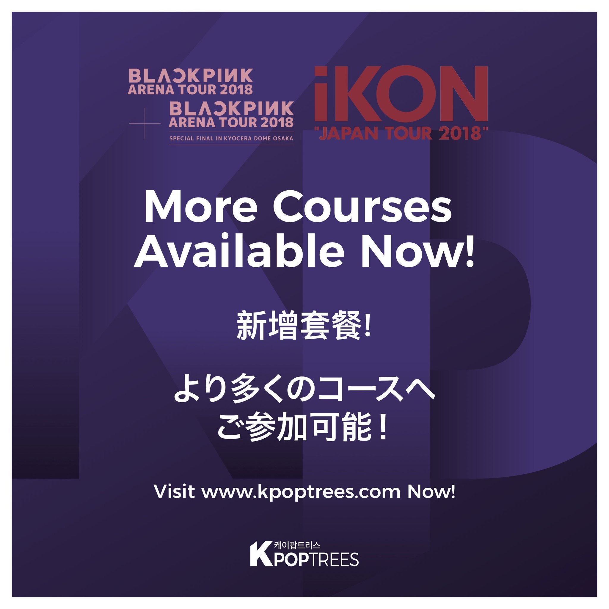 BLACKPINK ARENA TOUR 2018 &quot;SPECIAL FINAL IN KYOCERA DOME OSAKA&quot;(2DVD+グッズ)(数量限定生産盤) s-l400.jpg