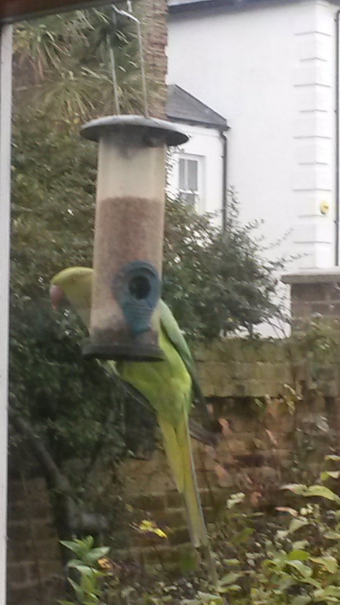 Look who came to say hello today