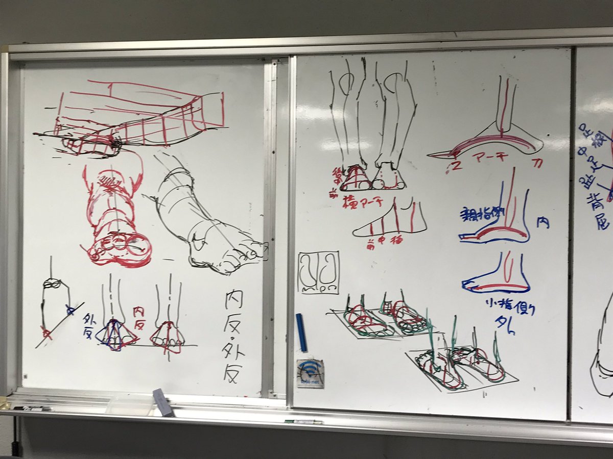 本日の人体イラスト授業の板書。
我ながらグチャグチャである。 