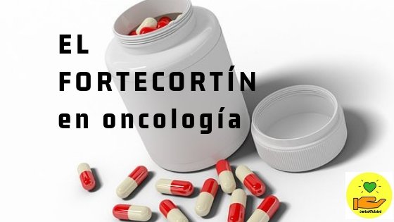 Hoy te traemos un nuevo post en #JuntosXTuSalud❗️

Nuestra compañera <a href="/BkCuenca/">𝗙𝗔𝗥𝗠𝗔𝗕𝗘𝗞𝗔💊🥗 (Farmacia🔛Nutrición)</a> nos habla sobre el Fortecortín, un fármaco también dispensado en el Paciente Oncológico, del cual queremos hablarte un poco más, ¿lo conoces?.

👉 juntosxtusalud.com/fortecortin-en…

#Cáncer #Oncología
#Farmacia