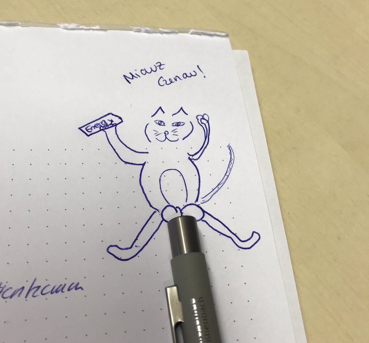 mariniswelt's tweet photo. Bilder sagen mehr als tausend Worte. #bildmachtmacht #cat #ballsofsteel @friedrichgiulia @maiher1811 https://t.co/AKU5lO6S1x