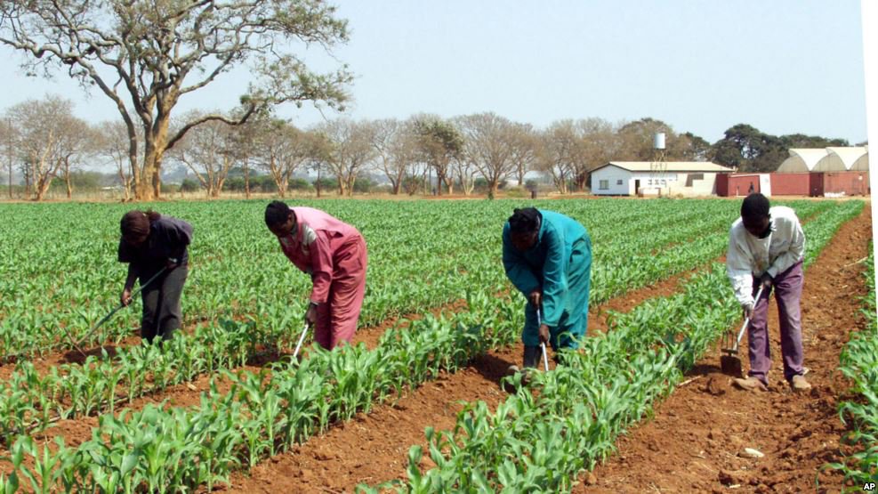 AcetforAfrica's tweet photo. The most important goal of transforming agriculture is to enable Africa to feed itself and not depend on imports for products for which natural conditions are conducive to producing domestically #ATR2017 https://t.co/FeWcctCzVE