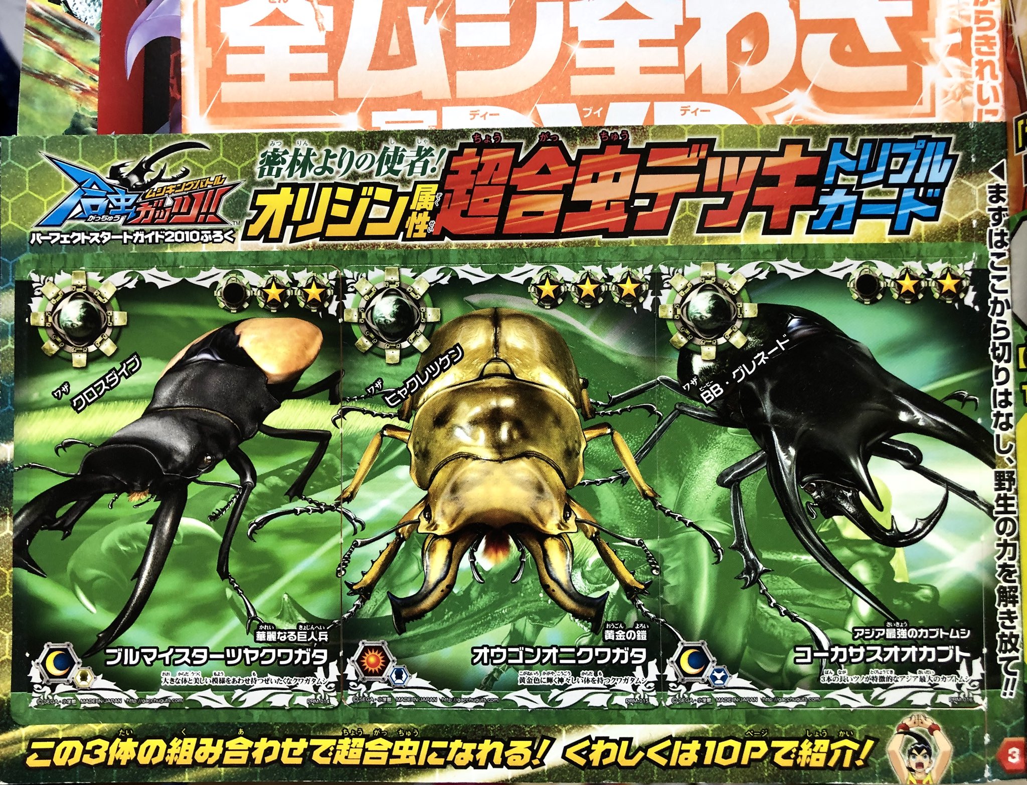 ムシキングバトル 合虫ガッツ CAUCASUS TR コーカサス SEGA - ムシキングバトル合虫ガッツ!! 中古トレカ スカル