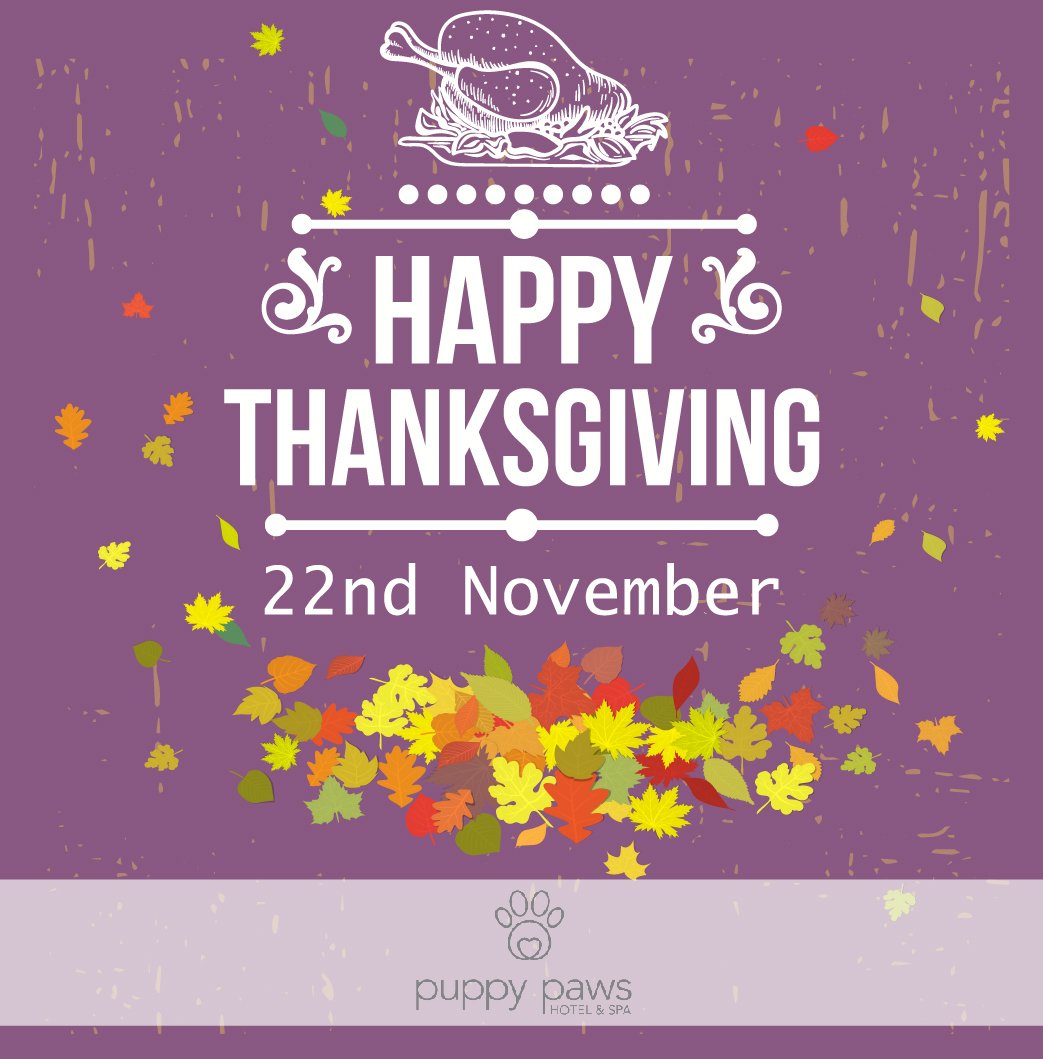 Happy Thanksgiving #Thanksgiving2018 #dogDaycareEdmondOK