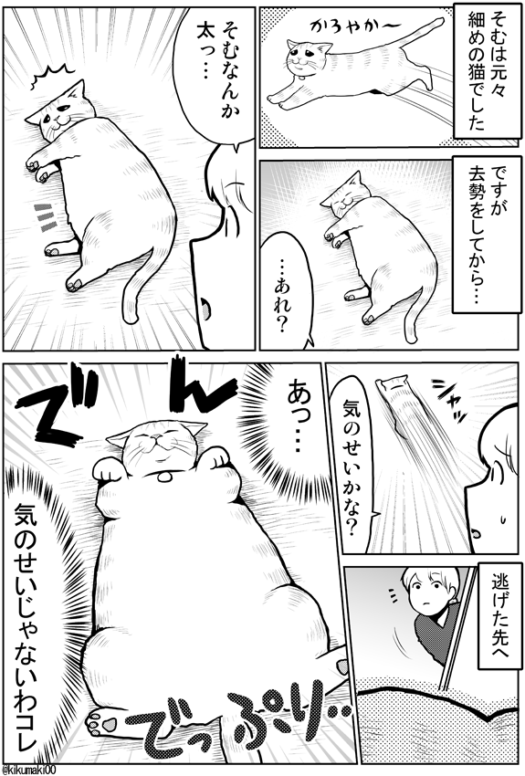 太っ…　#タレ目猫そむ　#タレ目猫そむが可愛すぎるんじゃ 