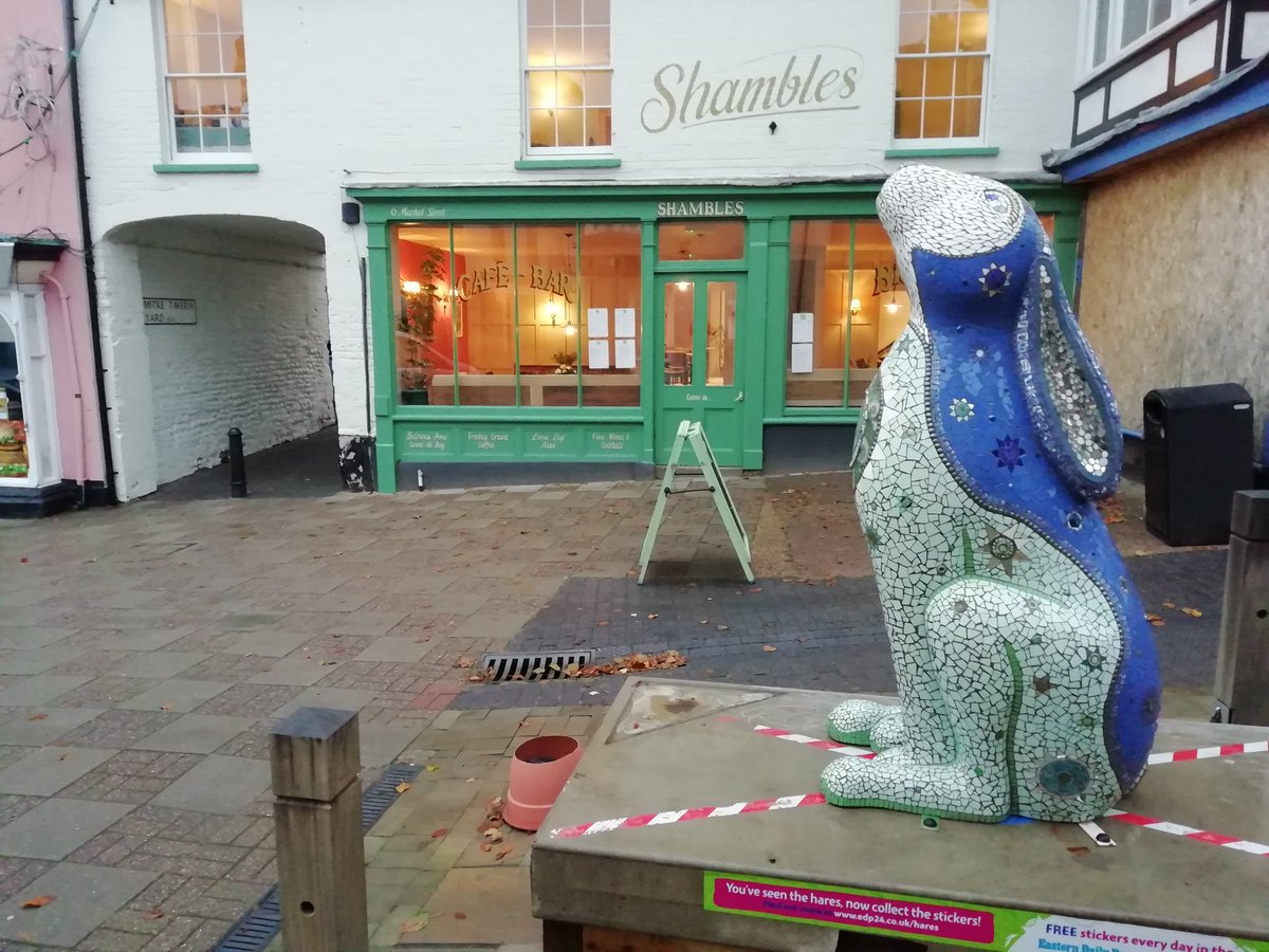 NorthNorfolkDC's tweet image. We’re delighted to have brought our @GoGoLepus back to #NorthWalsham today. It’s a grey day but Lepus is looking glorious. Lepus has been off to #Norwich for the #ggh18 auction, come back to NNDC hq in #Cromer for a visit and is now home. Thanks to @break_charity for everything!
