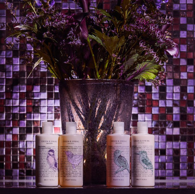 GreenandSpring's tweet image. How glorious is this shot from our latest photoshoot at our hotel in #Amsterdam @Canalhouse_NL ? You'll find full size Green &amp;amp; Spring goodies in all four of our sister-hotels to enjoy!
#greenandspring #canalhouse #organic #spa