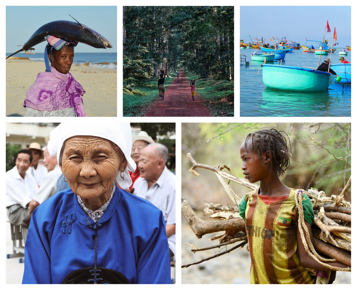 York_IGDC's tweet photo. Here are 5 of the fantastic #IGDC_PhotoComp top 20 shortlisted photographs. View the rest, find out the winners, vote for your favourite and much more at the Evening Awards Ceremony TONIGHT, 6-9pm in the Spring Lane Building @UniOfYork. More info: https://t.co/RYeNoCWbNF https://t.co/FL1AC9XH6Y