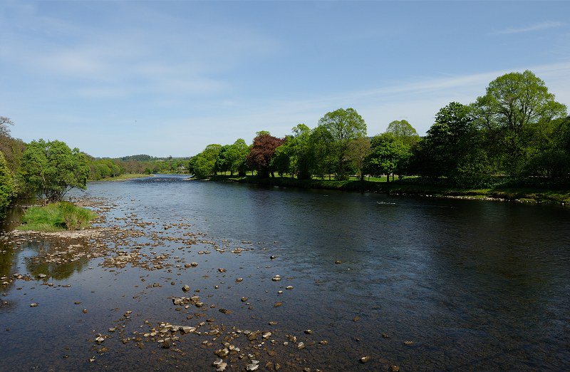 speysidenet's tweet photo. River Spey at Aberlour in Moray is popular with anglers and canoeists. Offering nice scenic views along it's banks it's a wide river with fast flowing currents that make it too dangerous for the average swimmer #Scottish #river #photo #Speyside #Moray #Scotland #travel https://t.co/VIAwcde32x