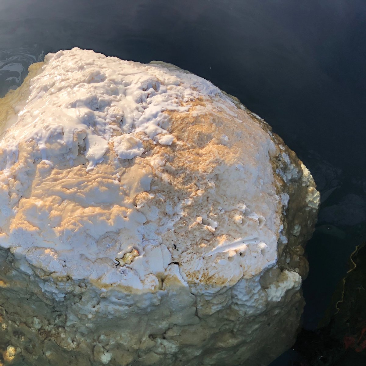 triennalemilano's tweet photo. What is clean? Discover #Fatbergs on the last article of #brokennature online platform—a conversation between @NatsaiAudrey and Mike Thomson @buildingfatberg—from @thisismold  | Broken Nature: Design Takes on Human Survival MAR 1—SEPT 1, 2019 | https://t.co/yHtNl63C8l https://t.co/7Wv34D1gjH