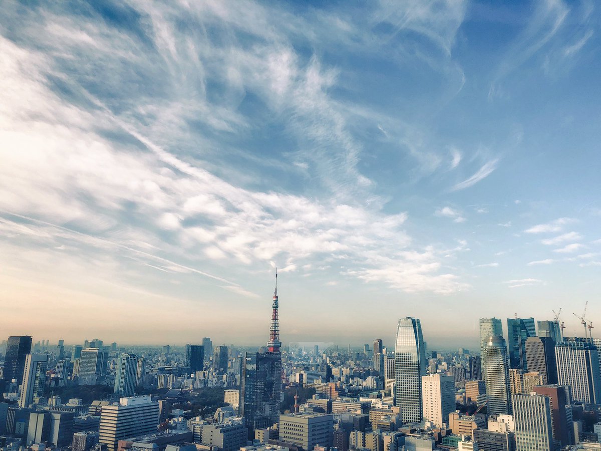 Sebastian_Arden's tweet photo. Happy Thanksgiving from Tokyo
.
.
.
.
.
.
.
.
.
#ThePhotoHour #500pxrtg #eyeem #snapwire #piclogy #wanderlust #tokyo #fall #Thanksgiving2018 https://t.co/vJOrnBEQQ4