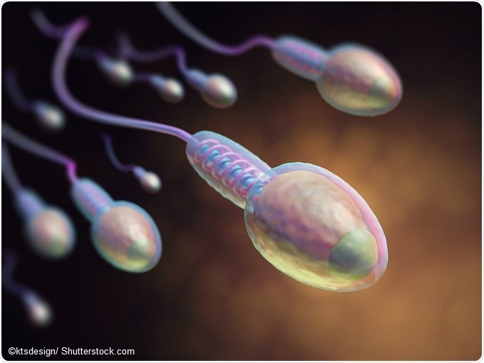 centerfertility's tweet photo. Is Climate Change Damaging Male fertility? https://t.co/BQLikRIalg https://t.co/c4vTALV57l