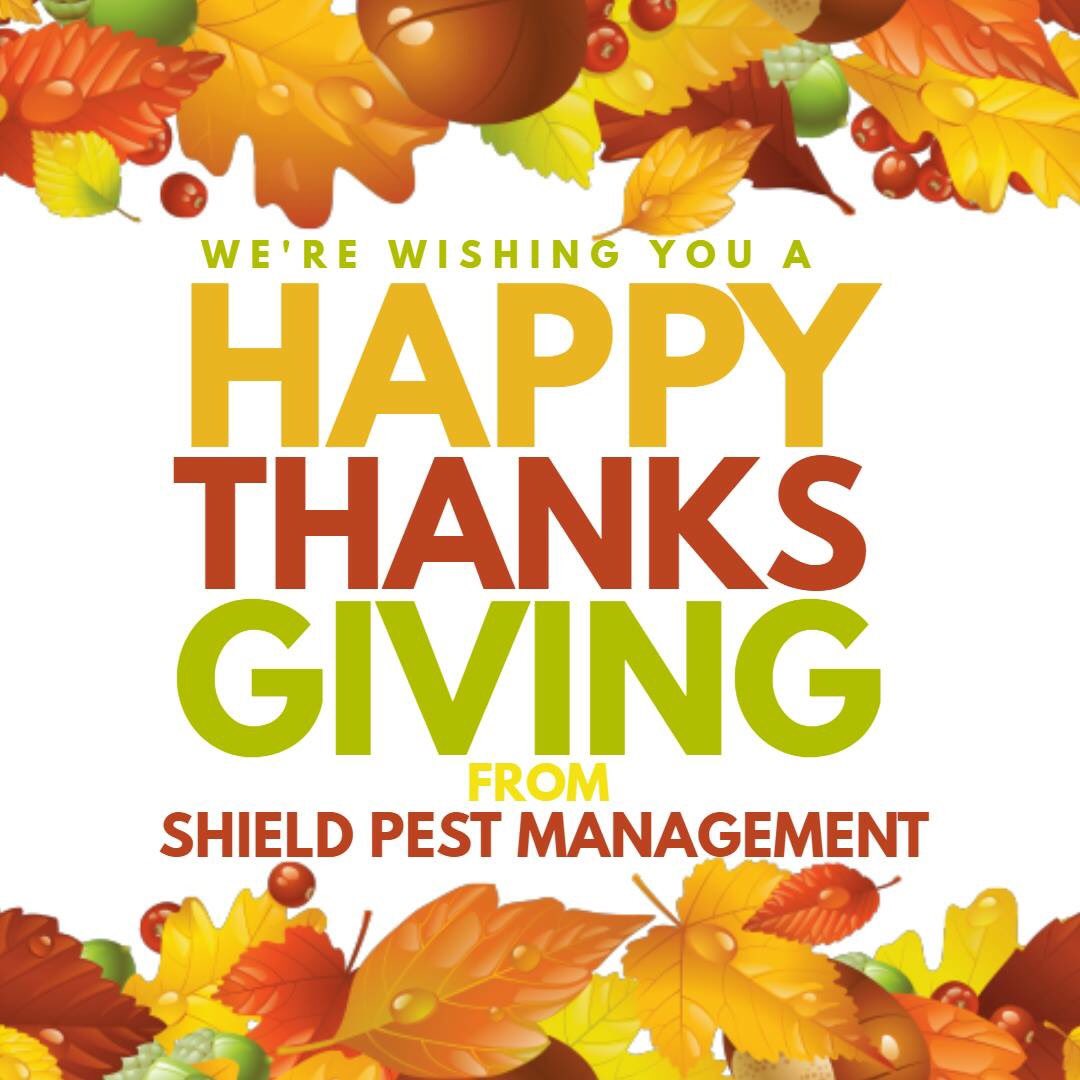 ShieldPests tweet picture
