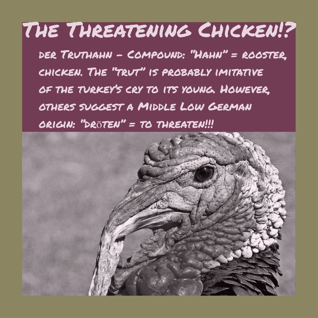 UPittGerman's tweet photo. 🦃 BEWARE of the THREATENING CHICKEN! 🦃
Wir wünschen ein schönes, langes Wochenende mit Freunden und Familie! / We wish you a nice long weekend with friends and family!
Also find out how 🦃 were named after 🇹🇷: https://t.co/XYJ149VD9p
#Turkey #Truthahn #PittGerman #German https://t.co/hC2LCitDft