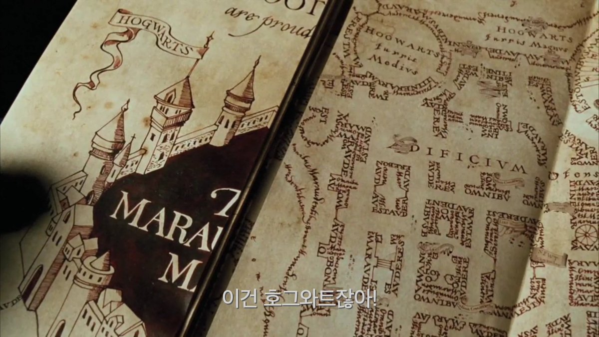호롤 tweet media