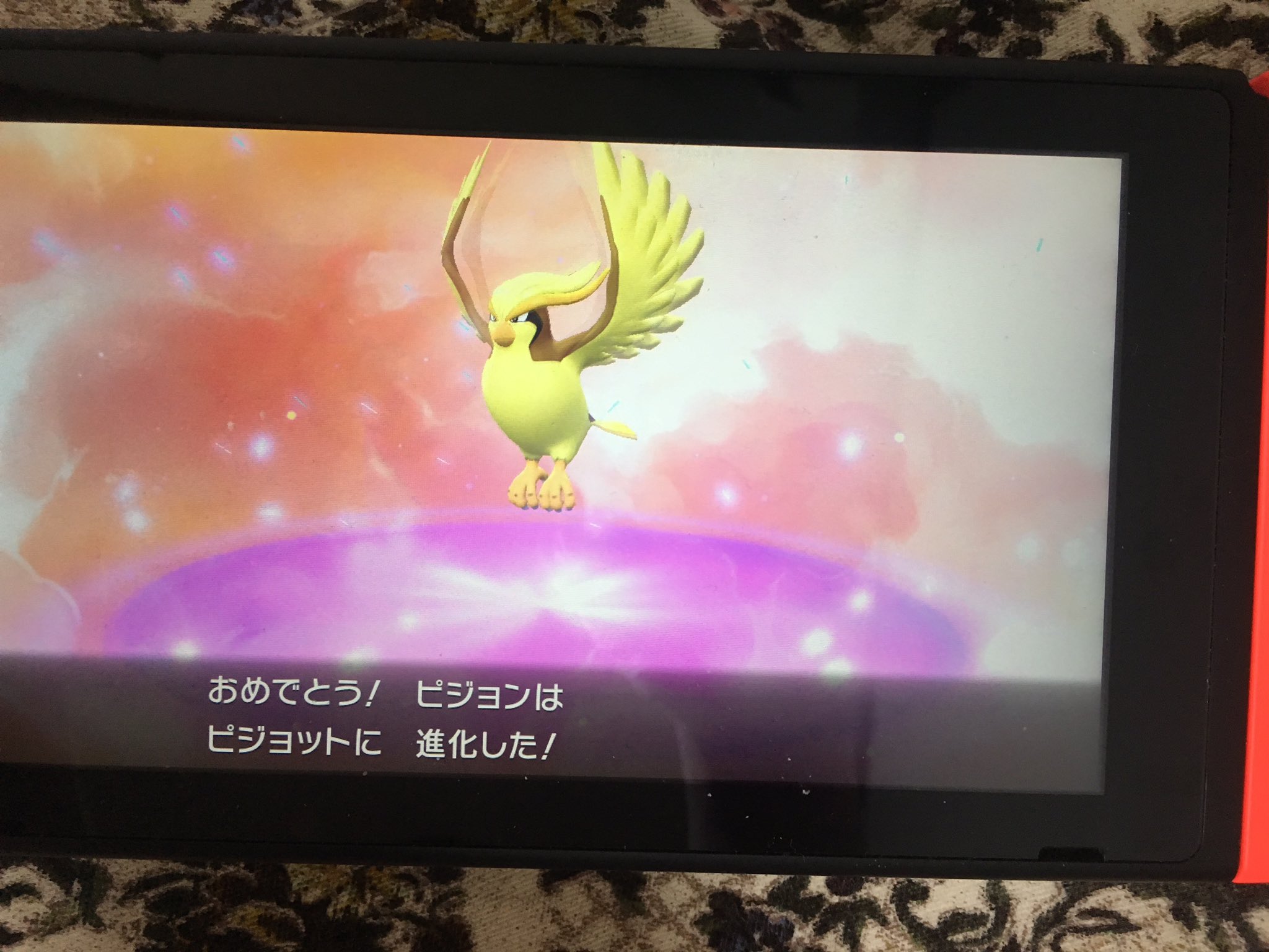 画像 お疲れ様です 先日捕まえた色違いポッポですが ピジョットまで進化しました T Co Cddfge6ene Matomehub まとめハブ