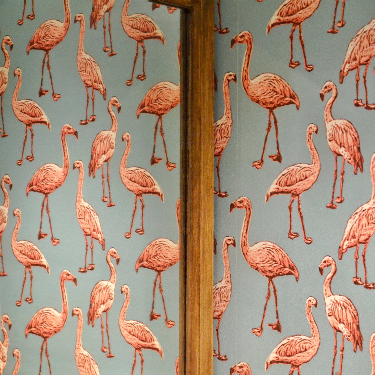 Enamorats dels nostres flamencs💛