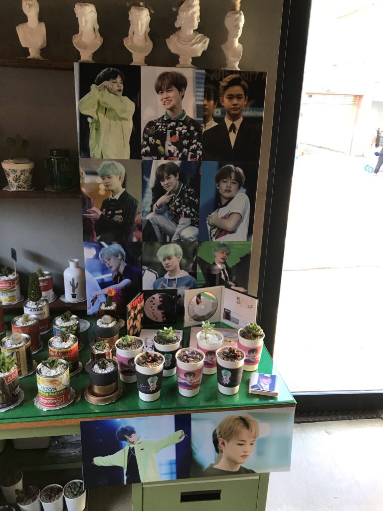 _zzongduck's tweet photo. 광주 [봄에 서있을께] 카페 
-선착순 선인장 증정 한다고 합니다 :) 많이 찾아가주세요 ! https://t.co/F6iS2rG3or