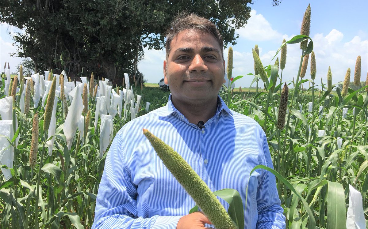 Honour for ICRISAT’s @rajvarshney, conferred prestigious 2018 fellowship by The American Society of Agronomy (ASA) for contribution to #Genomics & #Molecularbreeding; the only Indian scientist to receive the fellowship this year. goo.gl/RXa91r