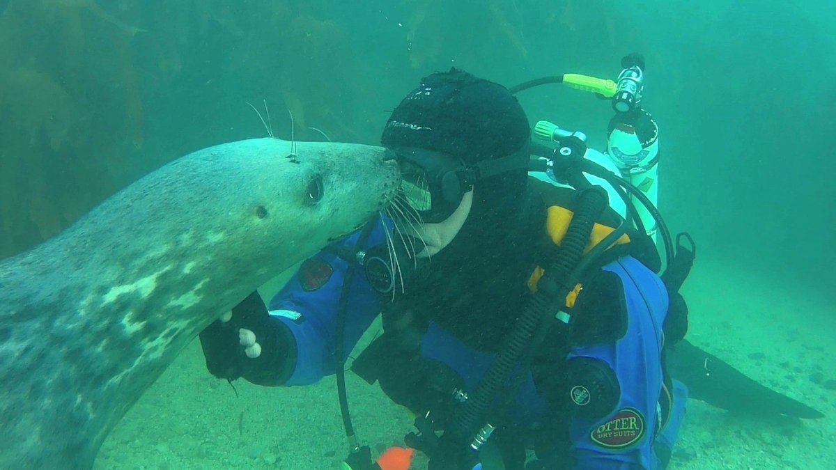 Ben Burville tweet media