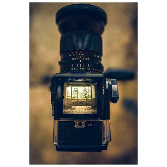 NicoDM_foto's tweet photo. Mondo in un mondo.
Giugno 2015.
#abbandoned #urbex_underground #urbanexploration #decay #ruins #italiabbandonata #haunted #explorer #grime_nation #hasselblad #tbt #dreamermagazine #vintage #filmphotography #edificidismessi #ig_italia #ig_abandoned #campania #irpinia #photo… https://t.co/Rg3WAok3l7