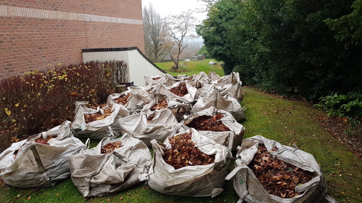 WRKieran's tweet photo. Take it or leaf it! You won’t be-leaf how many bags of leaves Ricky and George collected this autumn morning. Thanks to the pair of them it’s all clear and tidy, what a re-leaf! I promise I’m done with the leaf puns now 🍂👍🏻 #groundsmaintenance https://t.co/VFpbAoiJ5c