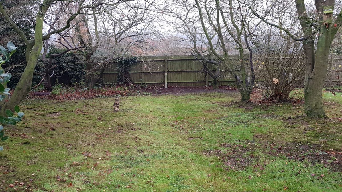 WRKieran's tweet photo. Take it or leaf it! You won’t be-leaf how many bags of leaves Ricky and George collected this autumn morning. Thanks to the pair of them it’s all clear and tidy, what a re-leaf! I promise I’m done with the leaf puns now 🍂👍🏻 #groundsmaintenance https://t.co/VFpbAoiJ5c